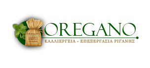 Oregano | Καλλιέργεια - Επεξεργασία Ρίγανης