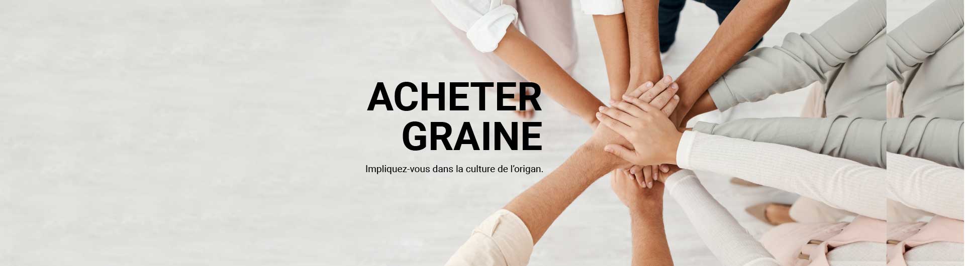 Acheter des graines d'origan | Oregano