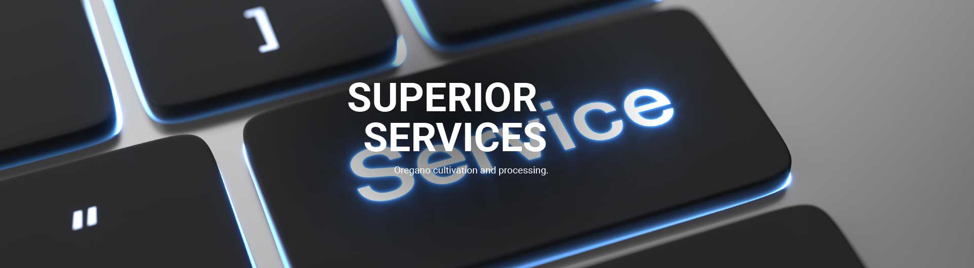 Services | Oregano