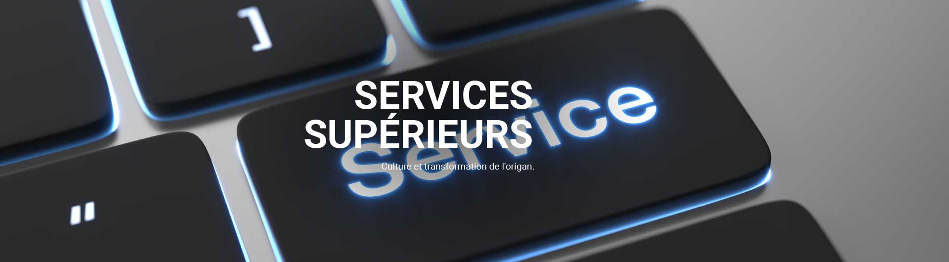 Prestations | Oregano